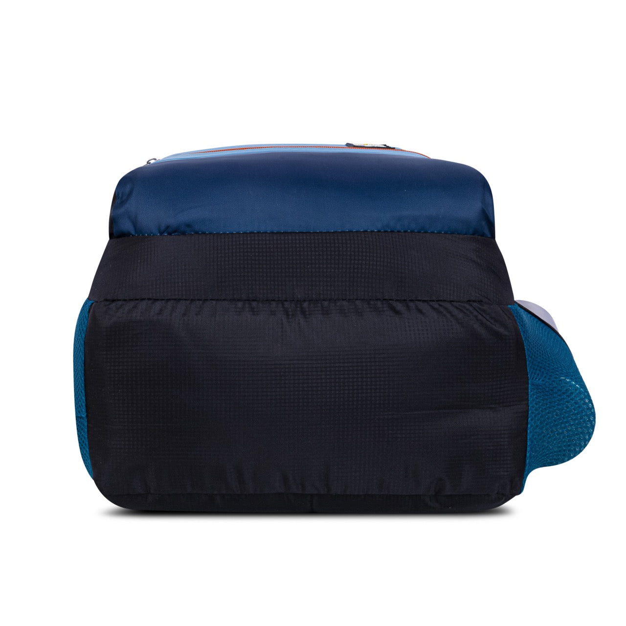 Seenlee Stripe Edition Backpack | Stylish School, College & Daily Use Backpack for Boys & Girls | Multipurpose Travel Bag